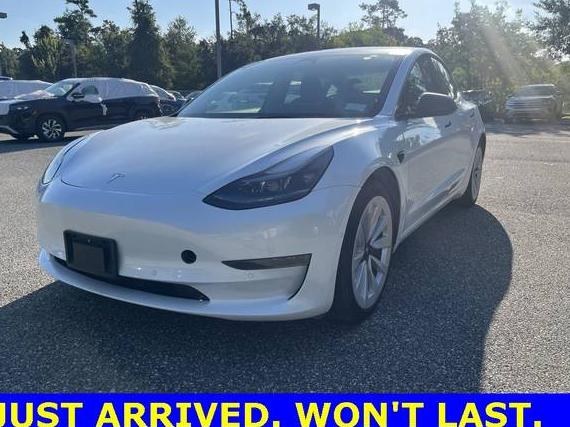 TESLA MODEL 3 2022 5YJ3E1EA7NF368447 image